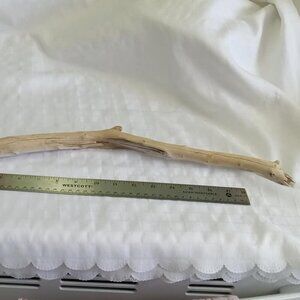 No4 Hand-collected big piece of driftwood, cleaned for aquarium/terrarium/craft